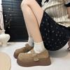 Casual Fashion Pink Retro Light Mouth Platform Single Shoes Women's 2025 New Summer Skirt Versatile Mary Jane Shoes