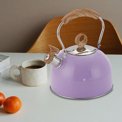 Whistling Stovetop Kettle Stainless Steel Tea Pot Heat Resistant Handle for Electric and Induction Stoves