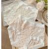 Sexy High Waist Cotton Gusset Lace Panties for Women Plus Size with Antibacterial