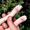 Potted Plant Water Sensor Worm Moisture Monitor Planter Insert Humidity Meter Sensor for Home Gardening Houseplants