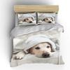 Cozy Dog Resting Under Blanket Bedding Set for Kids Luxury Gift 3pcs Digital Print Comforter Set Soft Comfortable Breathable