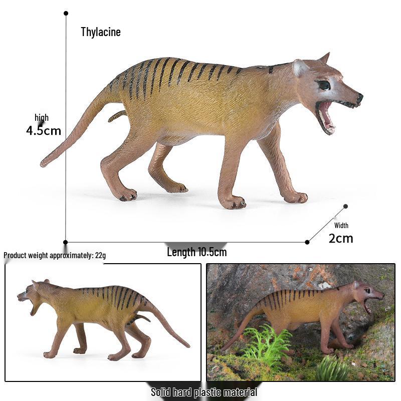 Realistic Tasmanian Tiger and Wolf Heart Animal Model Toy