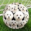 Cute Puppy Indoor Size 5 Soccer Ball Colorful Machine Stitched PVC Competition Ready Durable High-Bounce