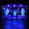 Three Areas Small Aquarium, Transparent Fish Tank, Desktop with Water Change Valve with LED Light for Betta Small Fishes(Purple)