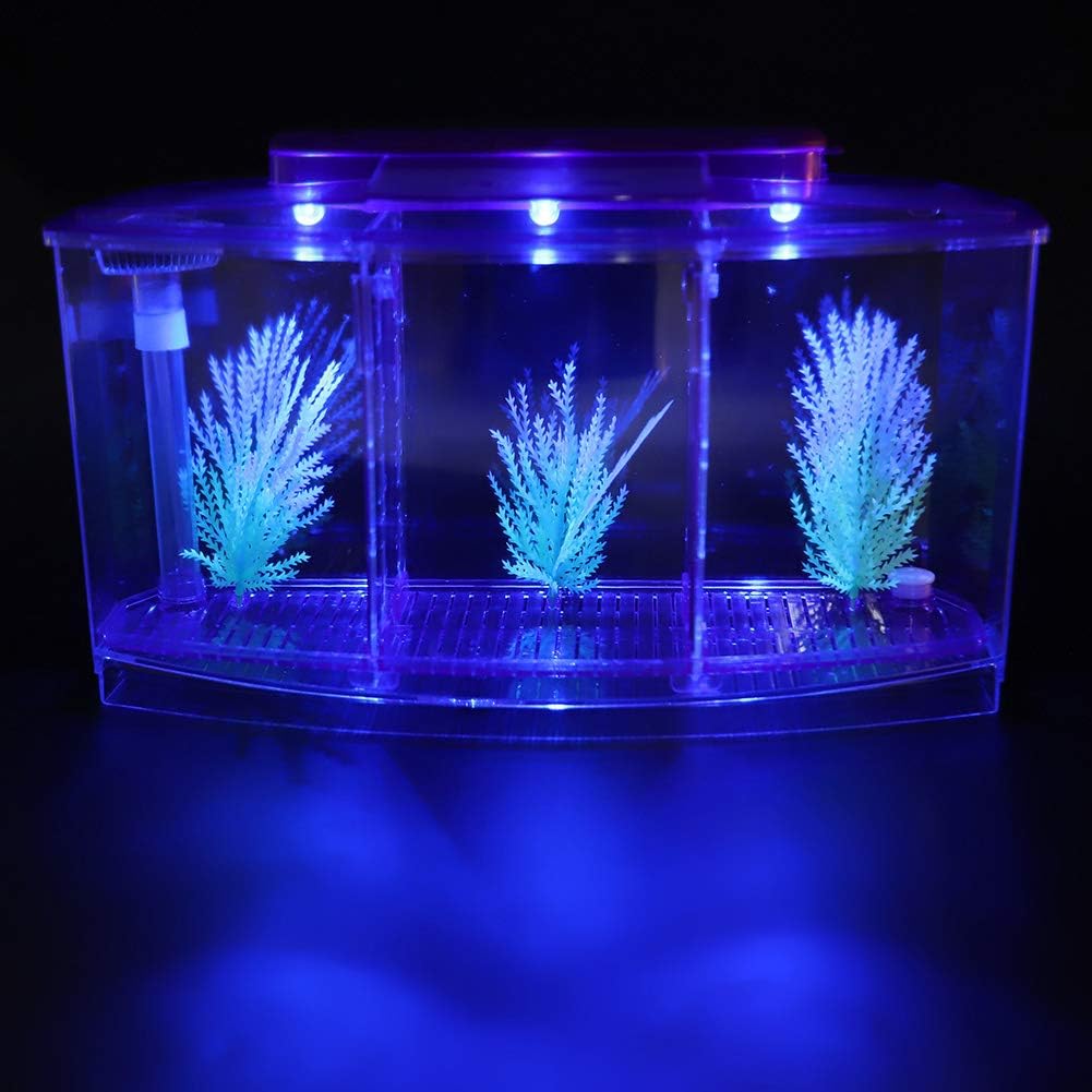 Three Areas Small Aquarium, Transparent Fish Tank, Desktop with Water Change Valve with LED Light for Betta Small Fishes(Purple)
