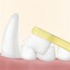 3Pcs Pet Teeth Care Toothbrush Set For Safe Brushing On Dog Cats Rabbits And Hamsters Small Animal Daily Use
