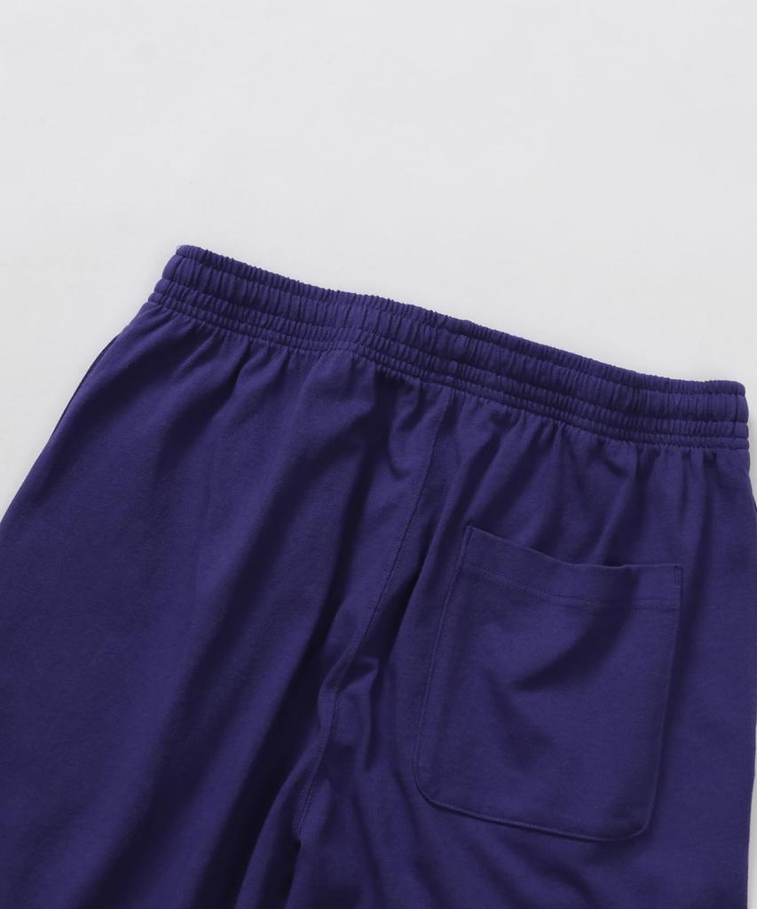 Champion Basic USA Graphic Logo Men's Shorts, 100% Cotton, Print, Blue, C3-X518