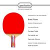 Double Fish Table Tennis Racket Series
