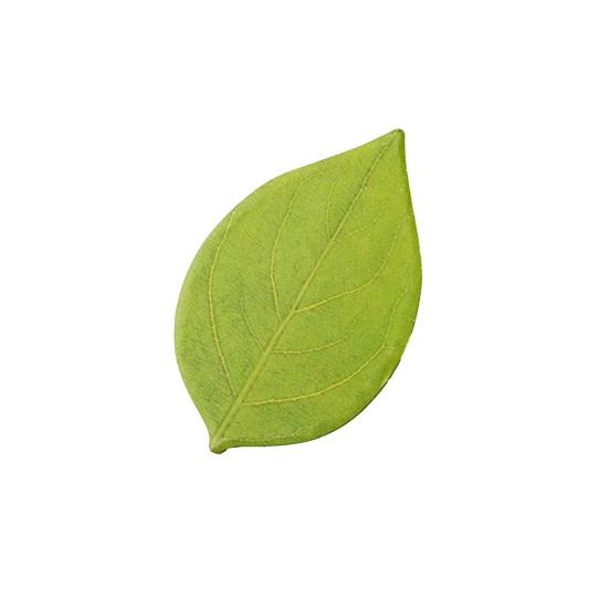 

Leaf-Shaped Sticky Notepads Removable Memo Pads Paper Sticker Pads Anti-Forgetting Reminder Note for Home Wall Photo DIY Decoration