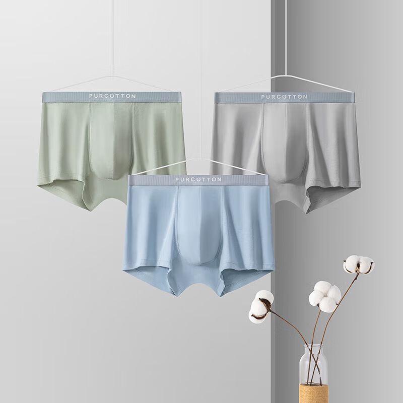 PurCotton Men's Ultra-Breathable 60-Count Cotton Antibacterial Underwear