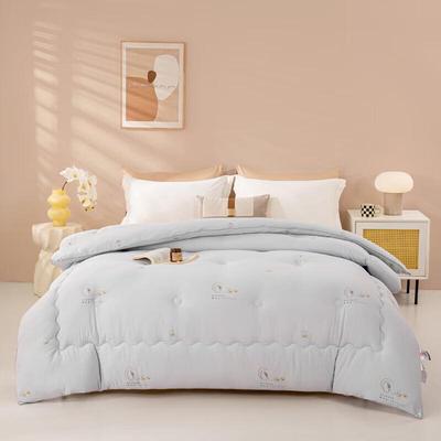 Soft Bean Texture Winter Comforter