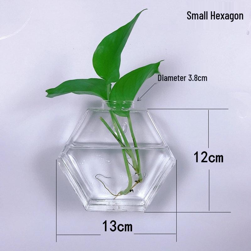 Creative Wall-Mounted Transparent Glass Vase for Plants and Fish