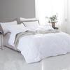 Mengjie Soft All-Season Quilt