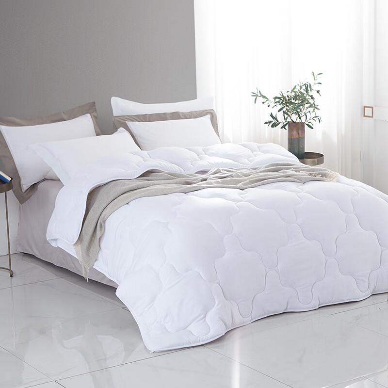 Mengjie Soft All-Season Quilt