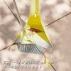 Broom & Dustpan Set, Hoki Broom, Dustpan Set, Entrance Broom, Cleaning Tools, Cleaning, Sweeping, Cleaning Goods, Entrance, Balcony, Simple Design,