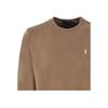 Polo Ralph Lauren Cotton Crew Neck Micro Logo Sweatshirt Men Sweatshirt Brown 916689004