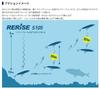 Maria Rerise S105 40 grams Sinking Lure B13H (2134)