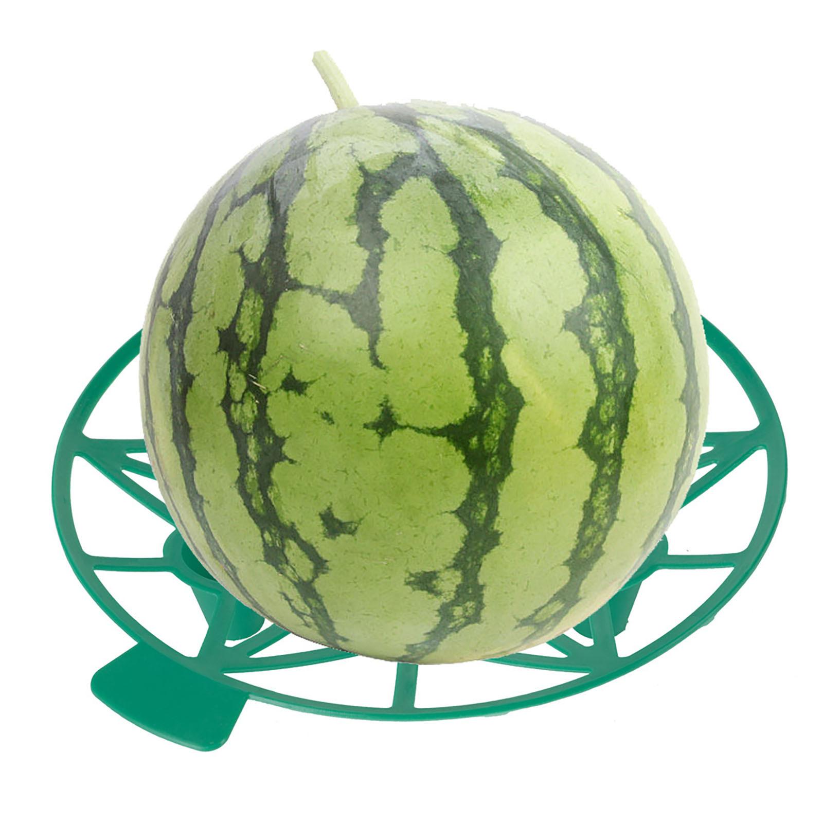 

5 шт. пластиковая садовая подставка для дыни, устойчивый поднос для фруктов для арбуза, подставка для сквоша, инструменты для посадки сада One Size