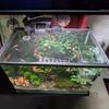 Rete Magnetica Anti-Salto per Acquario Fai da Te Facile Installazione Tagliabile Coperchio per Acquario di Dimensioni Personalizzate