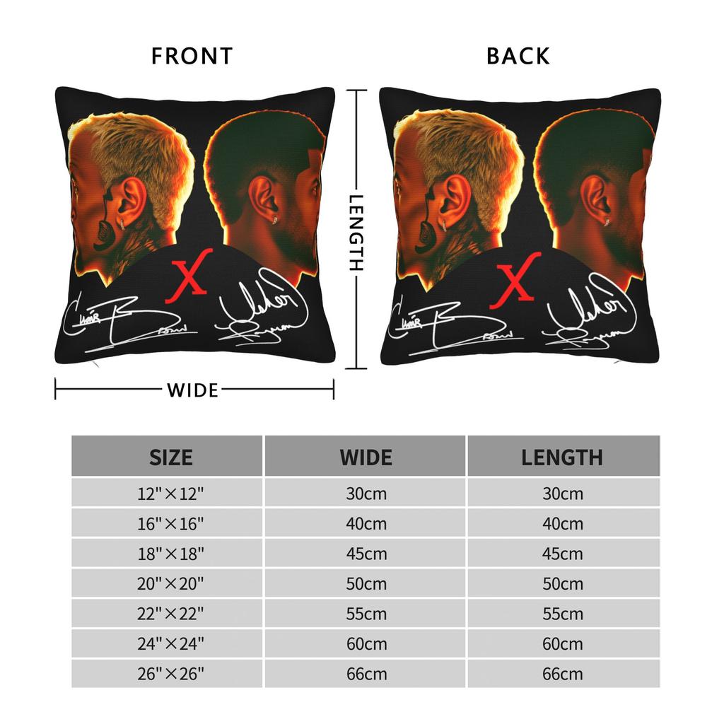 Pillow Case Chris Brown And Usher The Rb Tour Print Raymond And Brown Pillow Cover For Living Room Sofa Kawaii Pillowcases