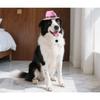 Pet Western Cowboy Hat Pet Sun Hat Big Edge Sunscreen Dog Hat Cat Top Hat Dress Up