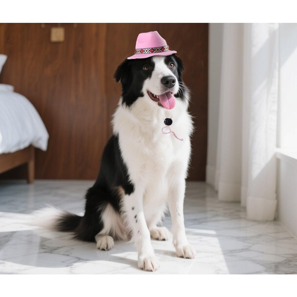Pet Western Cowboy Hat Pet Sun Hat Big Edge Sunscreen Dog Hat Cat Top Hat Dress Up