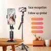 Accessori per cellulari – Selfie Stick