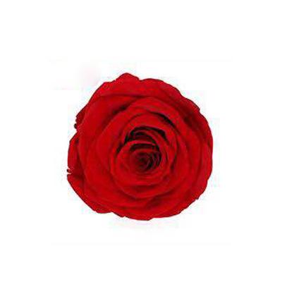 P-1 21 Preserved Roses in a Box Wedding Decor Floral Arrangements Wedding Dried Flower Home Decor Baby Shower Flowers 2~3cm