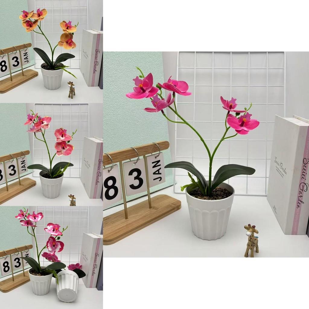 Schmetterlingsorchidee Kunstpflanze mit geprägter Textur für Heimdeko und Wohnzimmerausstellung