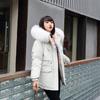 Medium and Long Pie Overcomes Women's Autumn and Winter Thickened Loose Warm Cotton-padded Coat Large Size Cold-proof Jacket