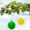 1-6PCS Ball Fruit Fly Catcher Pest Control Sticky Trap Wasp Bee Insect Trap Flying Insects Traps Ball for Catching Fruit Insects