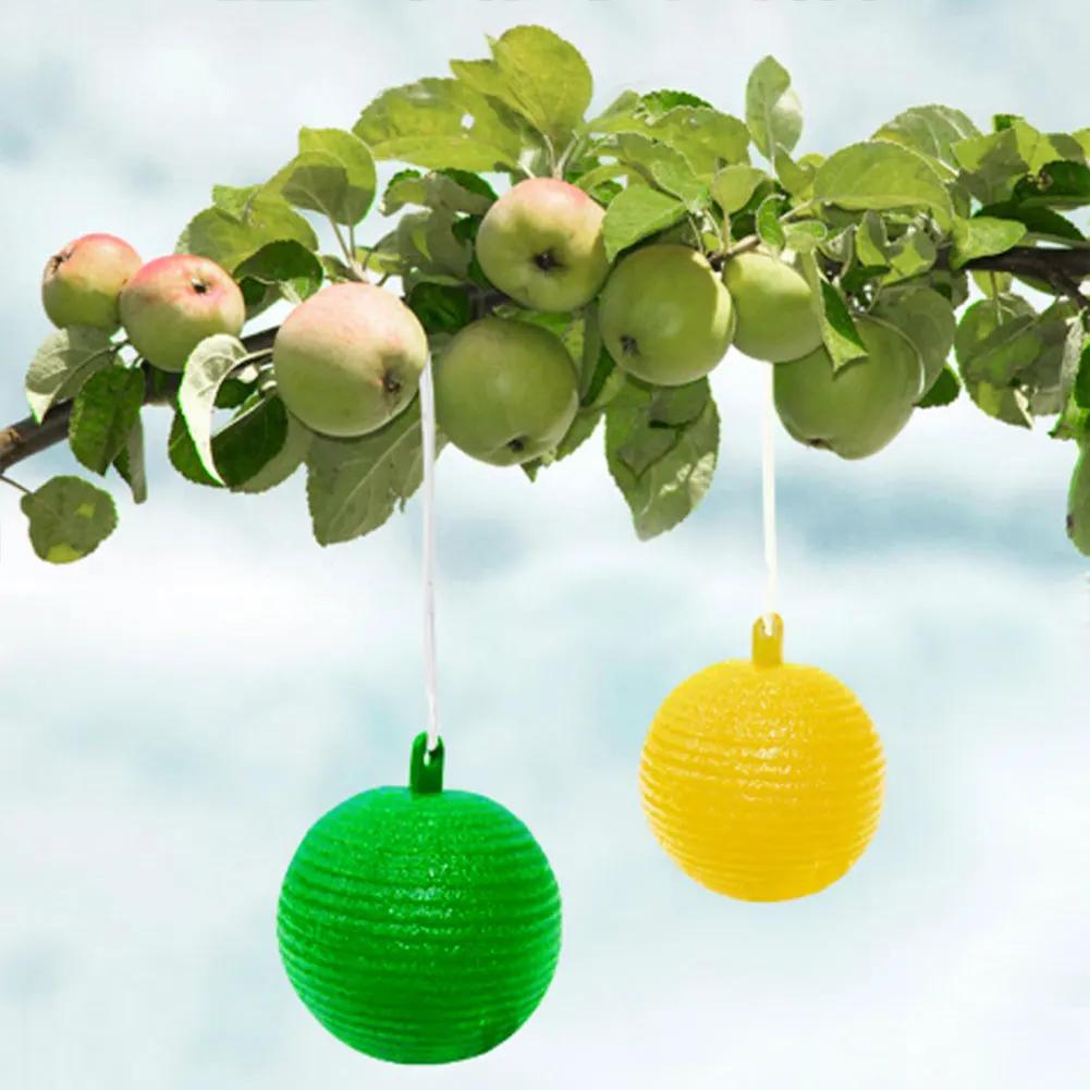 1-6PCS Ball Fruit Fly Catcher Pest Control Sticky Trap Wasp Bee Insect Trap Flying Insects Traps Ball for Catching Fruit Insects