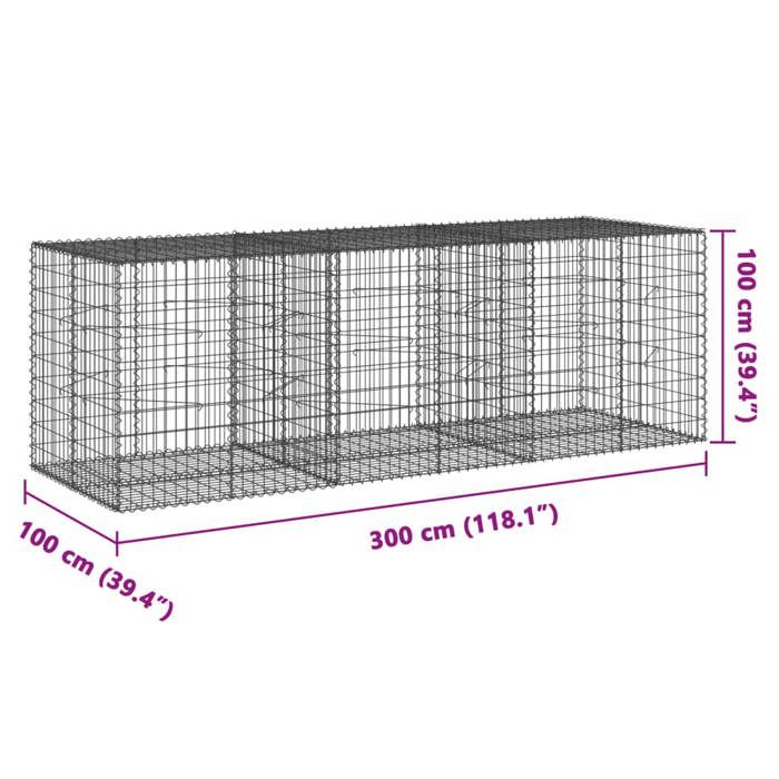 VidaXL Panier gabion avec couvercle 300x100x100 cm fer galvanisé, mur en gabion, mur de soutènement en gabion, clôture en 3295194