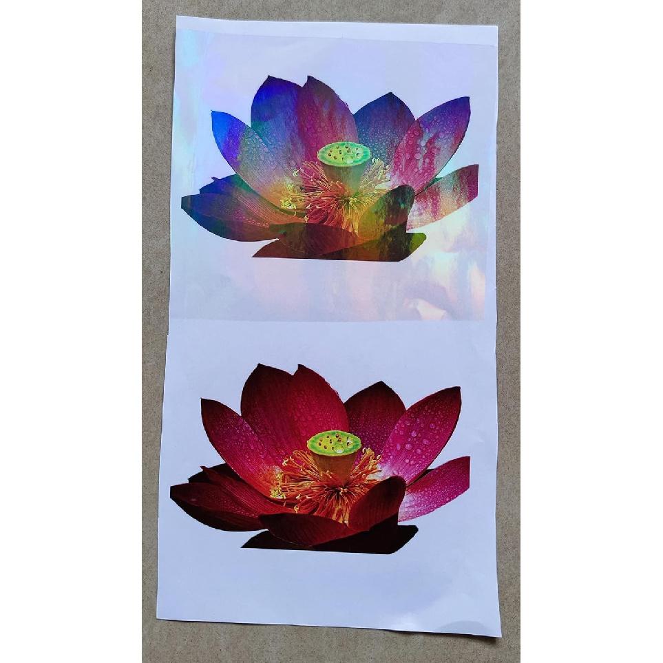 25 Sheets A4 Size Clear Holographic Cold Laminate Sheet Premium Overlay Laminating Self-Adhesive Sheets