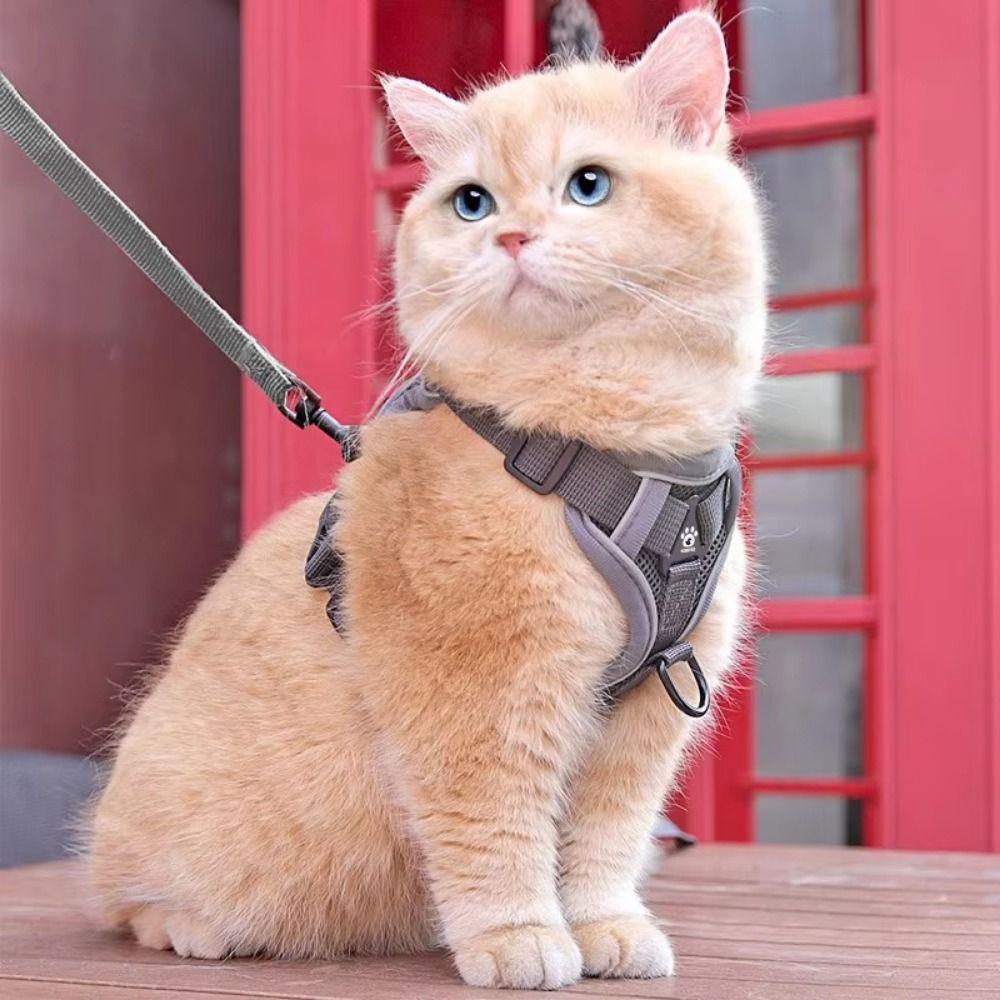 Reflective Trim Cat Harness Leash Set Vest Style Reflective Cat Harness Pets Supplies