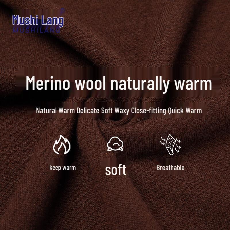 Men's 100% Merino Wool V-Neck Pullover Sweater