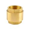 Xingqishi Brass Vertical Spring Check Valve