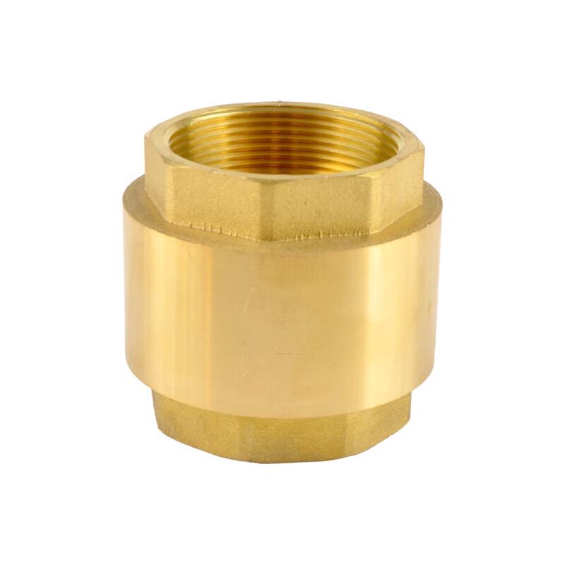 Xingqishi Brass Vertical Spring Check Valve
