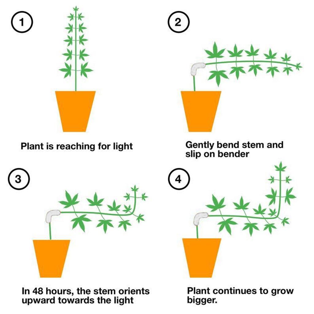 90-Grad-Pflanzenbieger-Pflanztrainer, 20 Stück, geeignet für kleinere Zweige, manipulieren Sie die Art und Weise, wie Ihre Pflanze mit Pflanzenbiegern wächst