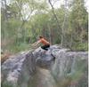Snap Climbing Брюки Sport