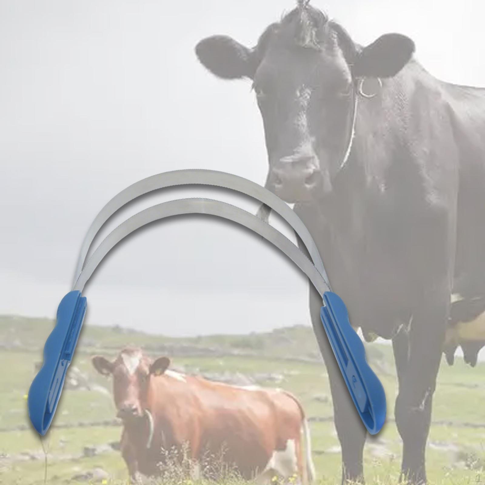 

Конный скребок-щетка двусторонний для линьки лошадей нескользящий карри-комбо пот для