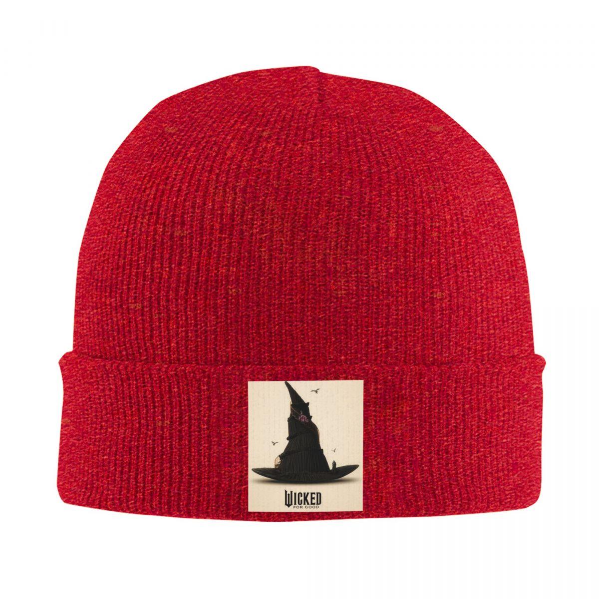

Wicked Movie Elphaba And Glinda Warm Knitted Cap Winter Knit Bonnet Hat Skullies Beanies Hip Hop Caps for Unisex One Size