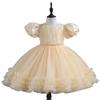 Baby Fluffy Summer Dress: Princess Skirt for Girls' Birthday, Banquet, or Performance.