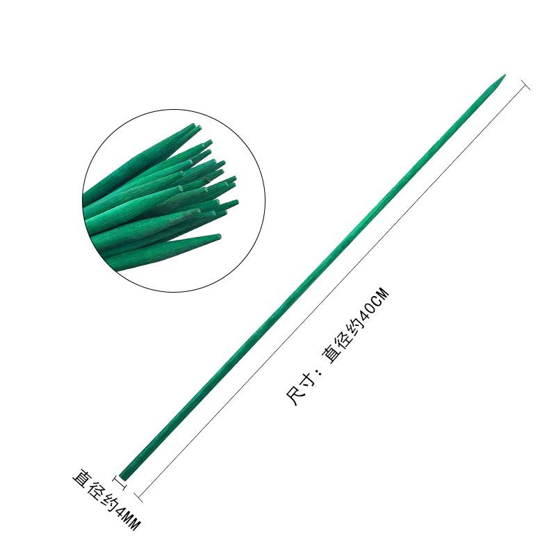 Green Dyed Bamboo Support Rod for Plant Growth and Flower Arrangement