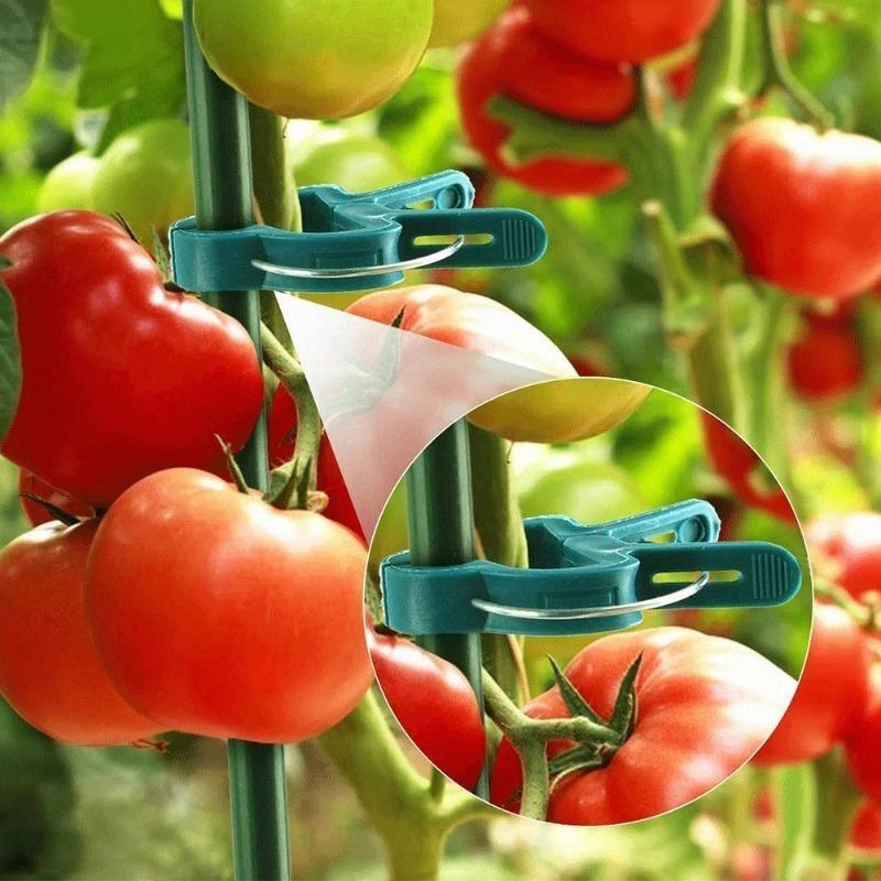 Reusable Garden Plant Clips Green Plastics Plant Fixing Clips for Climbing Plants Tomato Vine Support Tools Home Garden Supplies