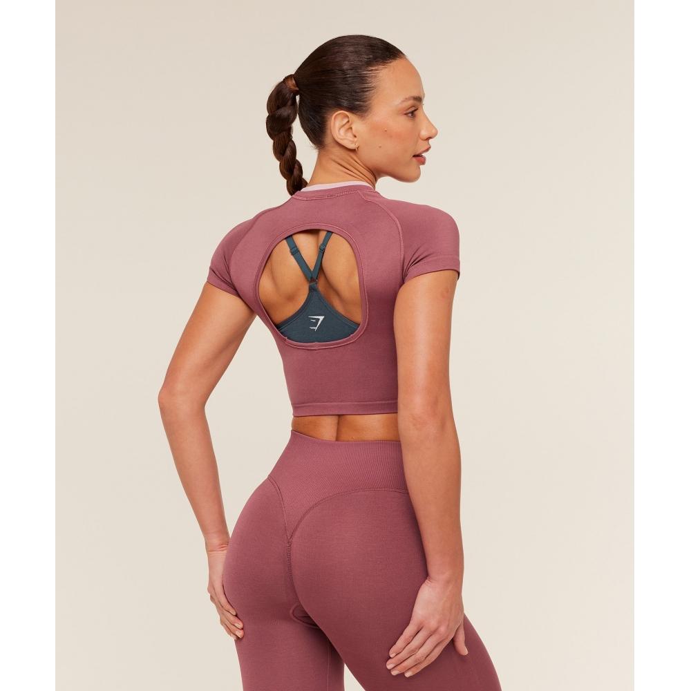 Gymshark Interval Seamless Short Sleeve Crop Top Reset Pink Light Pink B6b1k Kd 