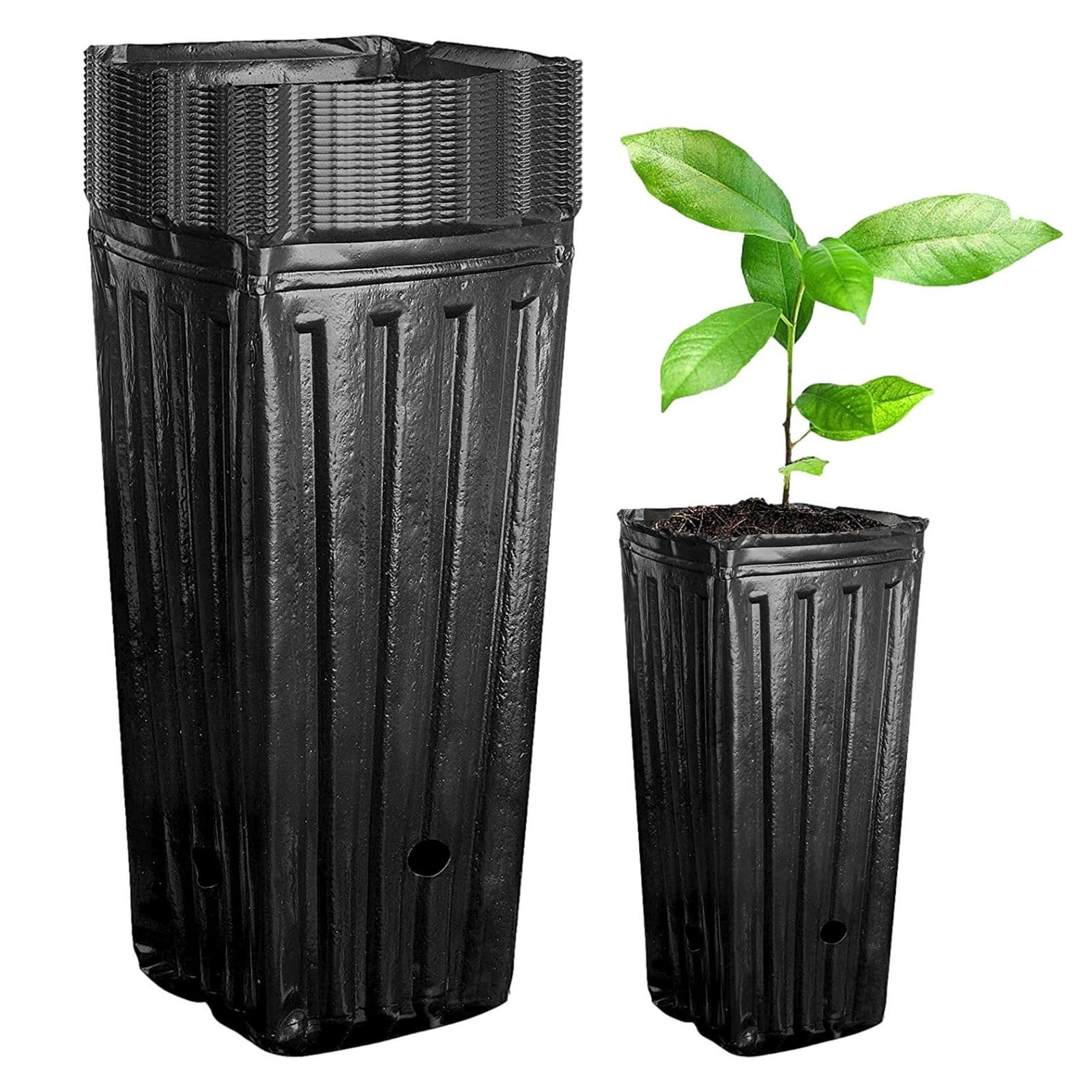 

EMIRAIZE Поли Рассада Рассада Набор из 20 Горшок, Горшок, Горшок, Горшок, Рассада, Глубокий, Большой, Посадочная емкость, Рассада, Садоводство, Винил, Длинный, чёрный