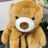 [USED] Teddy Bear Plush Toy Fluffy Bear Women's Kids Gift