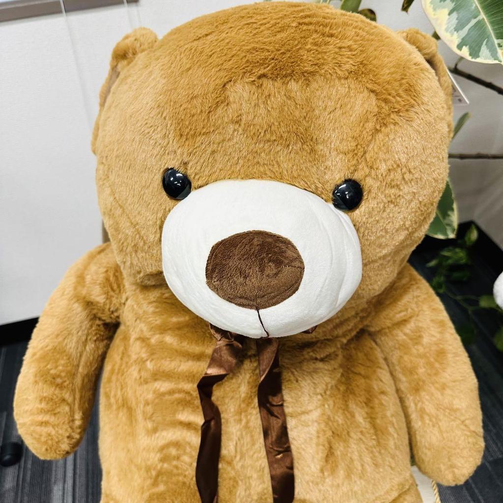 [USED] Teddy Bear Plush Toy Fluffy Bear Women's Kids Gift