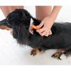 Babion 002R Rosewood Pinslicker Pet Brush, Korean Pet Shampoo